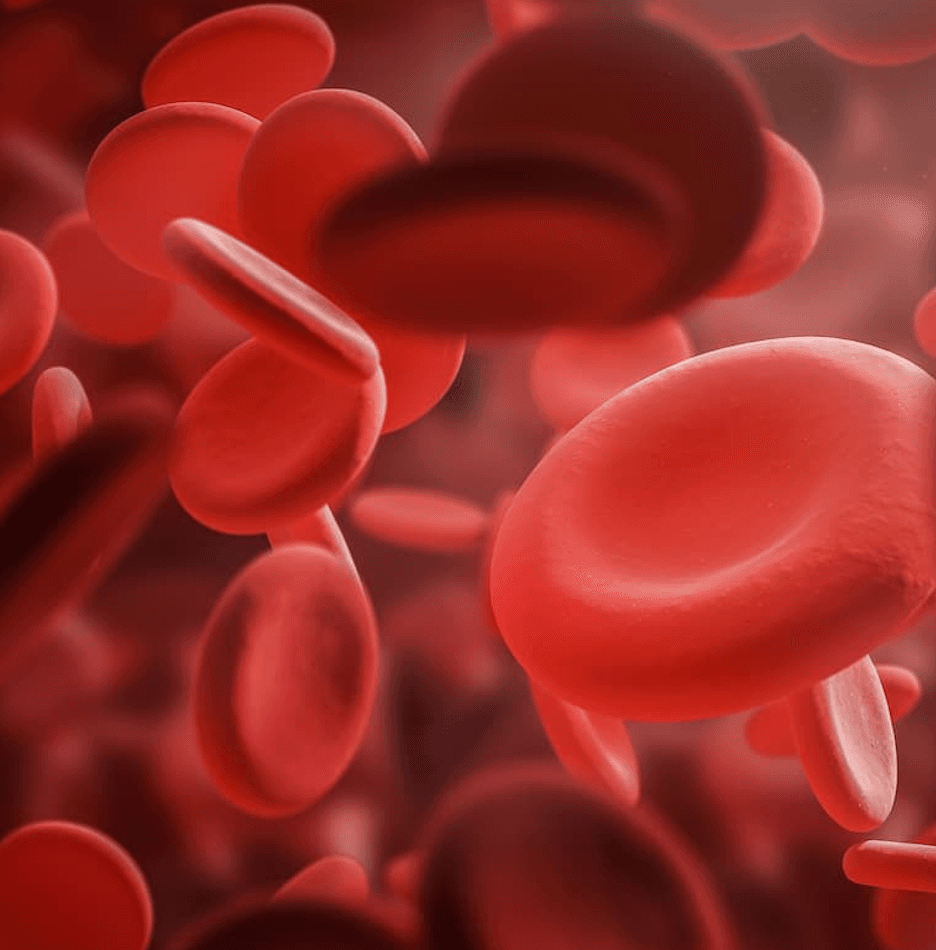 Vadadustat Shows Promise in Anemia Treatment for CKD